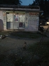 Shivani Ladies Beauty Parlour img01